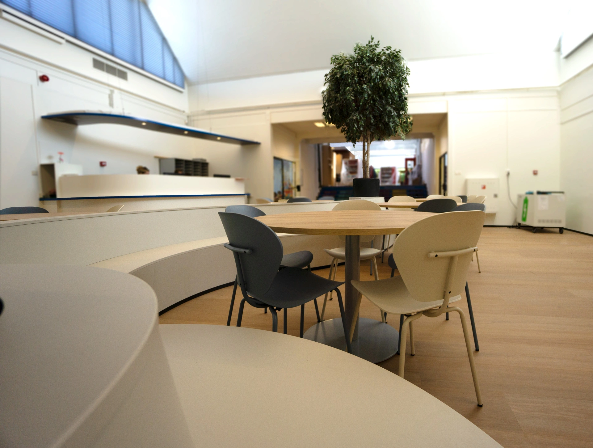 Plan Bee Onderhoud en Advies B.V. | Basisschool De Contrabas