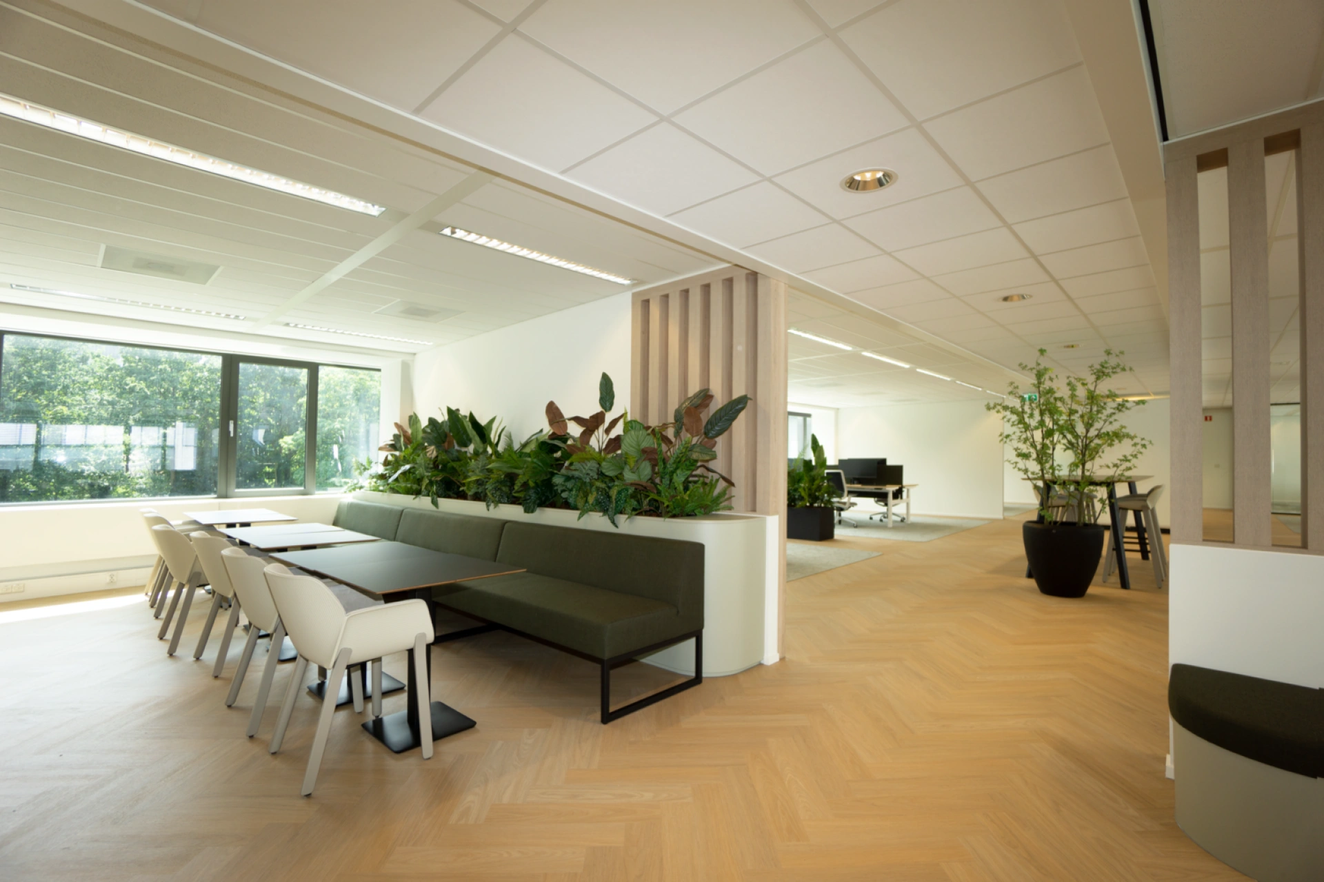 Plan Bee Onderhoud en Advies B.V. | Betzweg Rotterdam