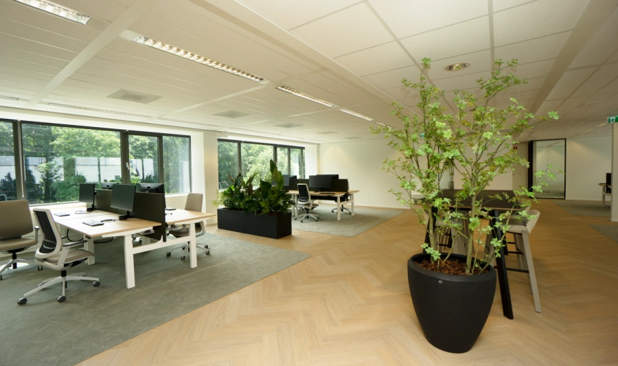 Plan Bee Onderhoud en Advies B.V. | Betzweg Rotterdam